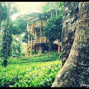 https://jungle-jive-farm-house-and-tree-house.hotels-munnar.com